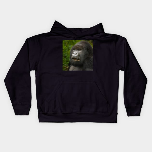 Gorilla IV Kids Hoodie by njones